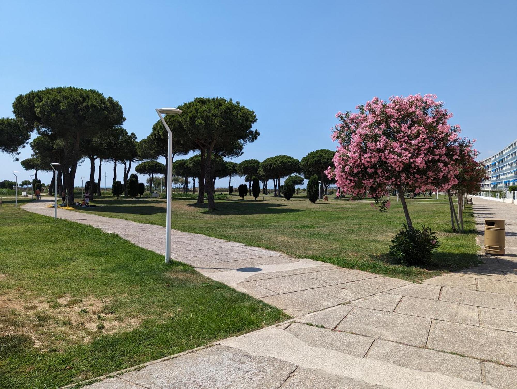 Sol-Y-Days Mathilde, Agreable Appartement En Rez-De-Jardin Avec Parking Et Un Acces Direct A La Plage Le Grau-du-Roi Exteriér fotografie